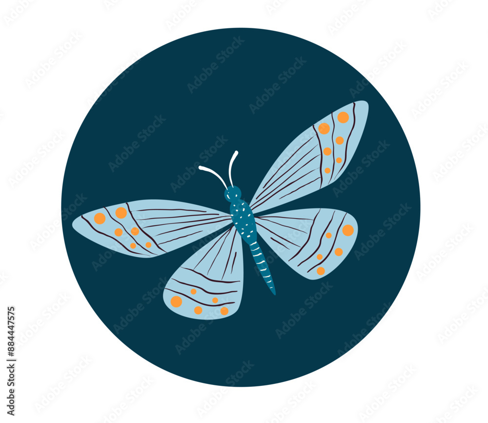 Fototapeta premium Butterfly insect moth cute isolated set concept. Vector design graphic illustration 