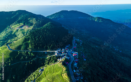 aerial view of greeney tea farmland in Ilam, Nepal. photo