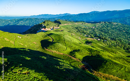 aerial view of greenery tea farmland in Kanyam, Ilam, Nepal. photo