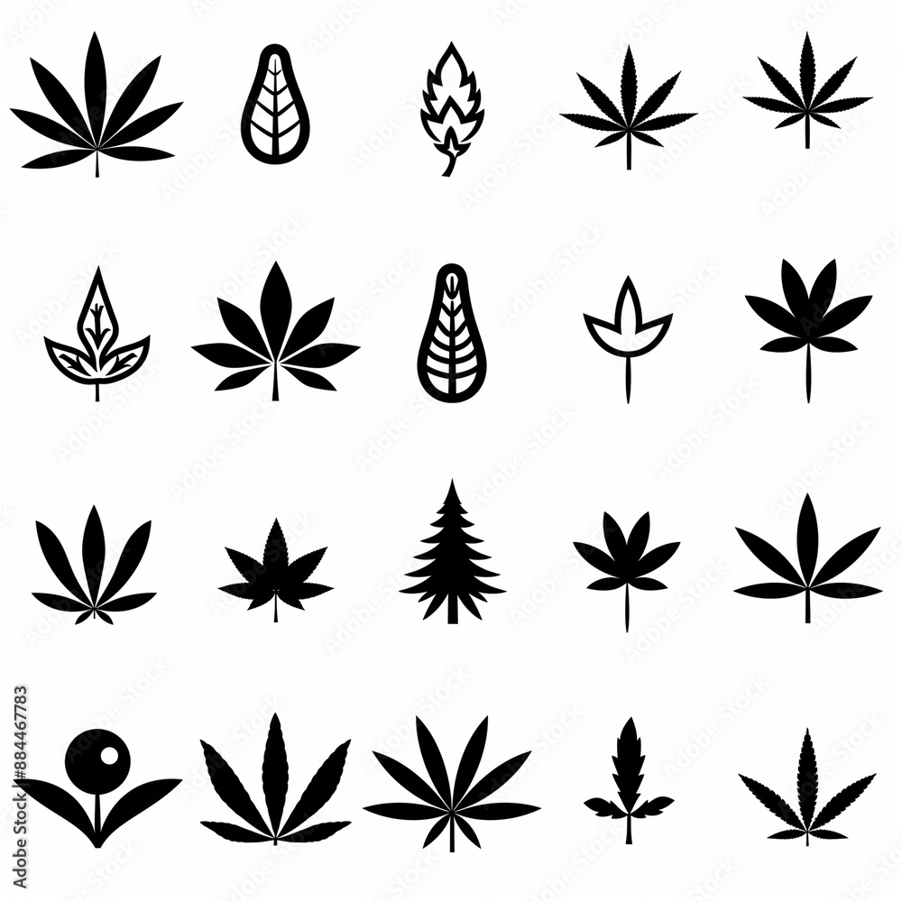A collection of black and white drawings of various plants, including a tree, a leaf, and a berry A collection of black and white drawings of various plants, including a tree, a leaf, and a berry