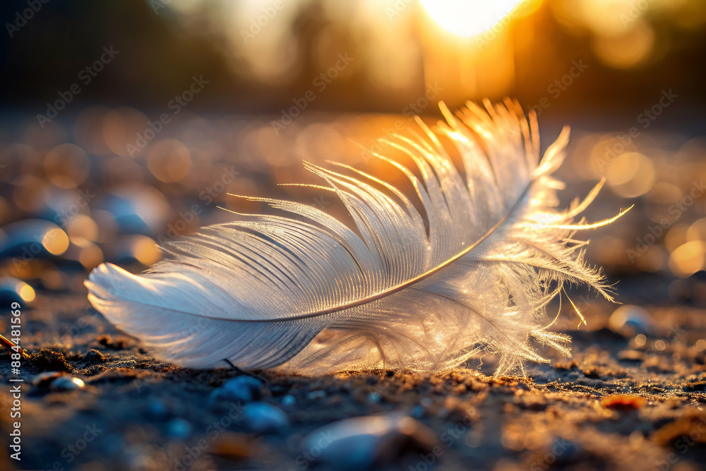 A feather is laying on the ground, with the sun shining on it. Concept of peace and tranquility, as the feather is a symbol of freedom and lightness. The sun's rays create a warm A feather is laying on the ground, with the sun shining on it. Concept of peace and tranquility, as the feather is a symbol of freedom and lightness. The sun's rays create a warm