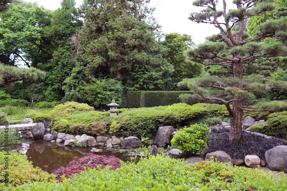 summer landscape. corner of the Japanese garden in the summer park summer landscape. corner of the Japanese garden in the summer park