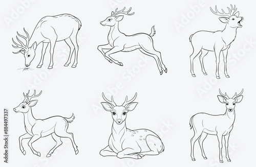 Majestic Deer Line Art Collection, Elegant Wildlife Designs