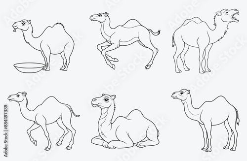 Majestic Camel Line Art Set ,Exquisite Illustrations for Creative Projects