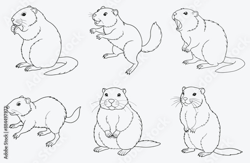 Ultimate Baboon Line Art Collection