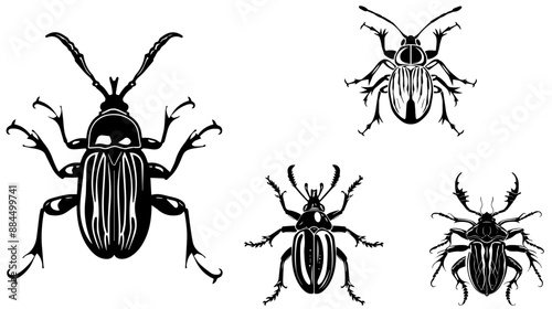 
vector isolated set of insect silhouettes,Hand drawn vector illustration