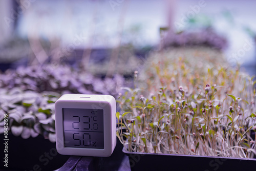Indoor microgreens garden with temperature and humidity monitor