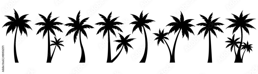 Obraz premium Palm Tree Big Set Isolated White Background