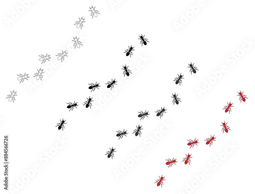 Ant Trail Marching in a Scattered Path Isolated Illustration Clipart - Outline, Silhouette and Color