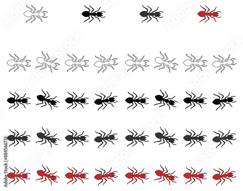 Ants Marching in a Straight Trail Line Isolated Illustration Clipart - Outline, Silhouette and Color