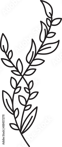 Floral Leaves and Flower Line Art