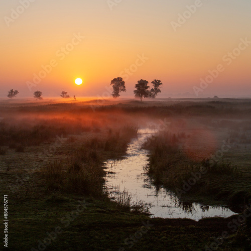 sunrise over grass land in national park weerribben wieden near Giethoorn in the neherlands photo