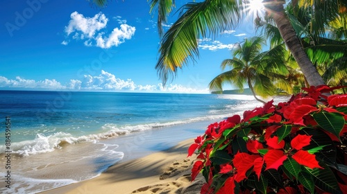 Beautiful Christmas background. Christmas on a tropical beach. The concept of an ideal Christmas holiday in hot countries.