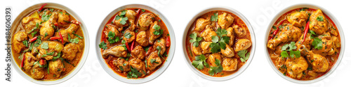 Chicken curry set on transparent background photo