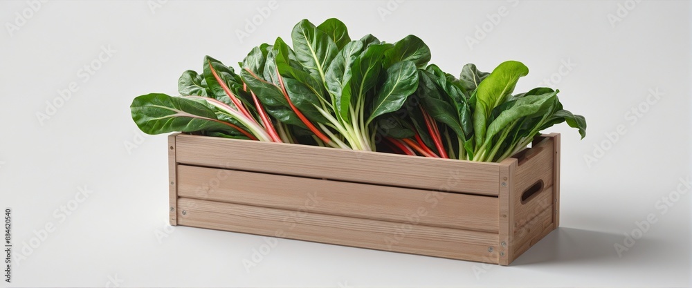 Natural Bounty: A Celebration of Fresh Produce