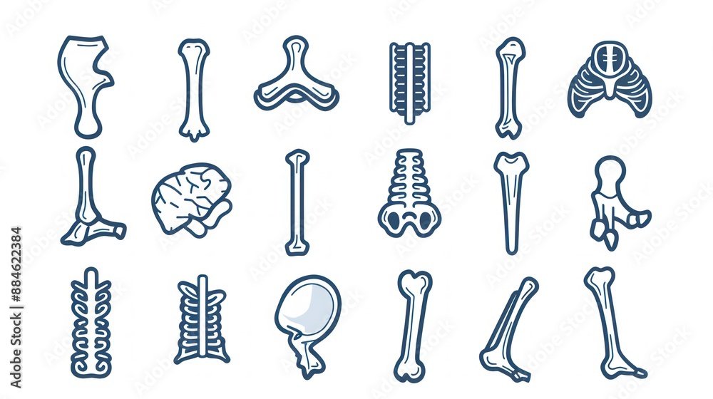 Collection of Human Bone Icons Collection of Human Bone Icons