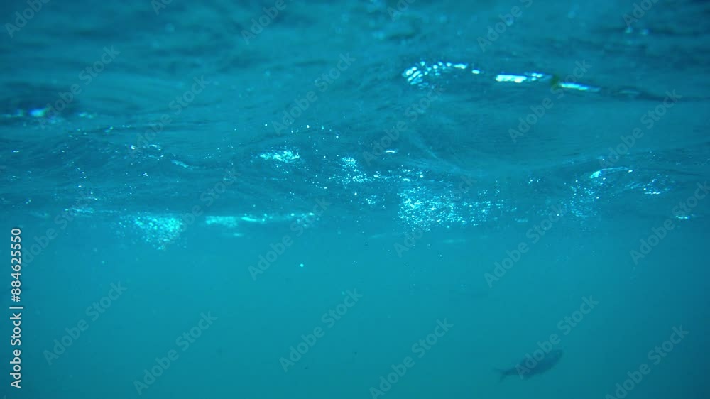 Underwater with fish, bubbles, and waves in blue lagoon Underwater with fish, bubbles, and waves in blue lagoon