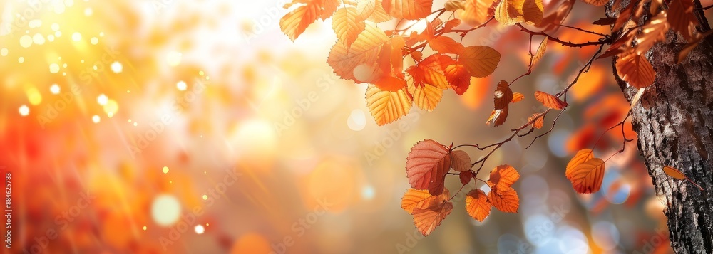 Autumn tree branches with leaves close up wallpaper background Autumn tree branches with leaves close up wallpaper background