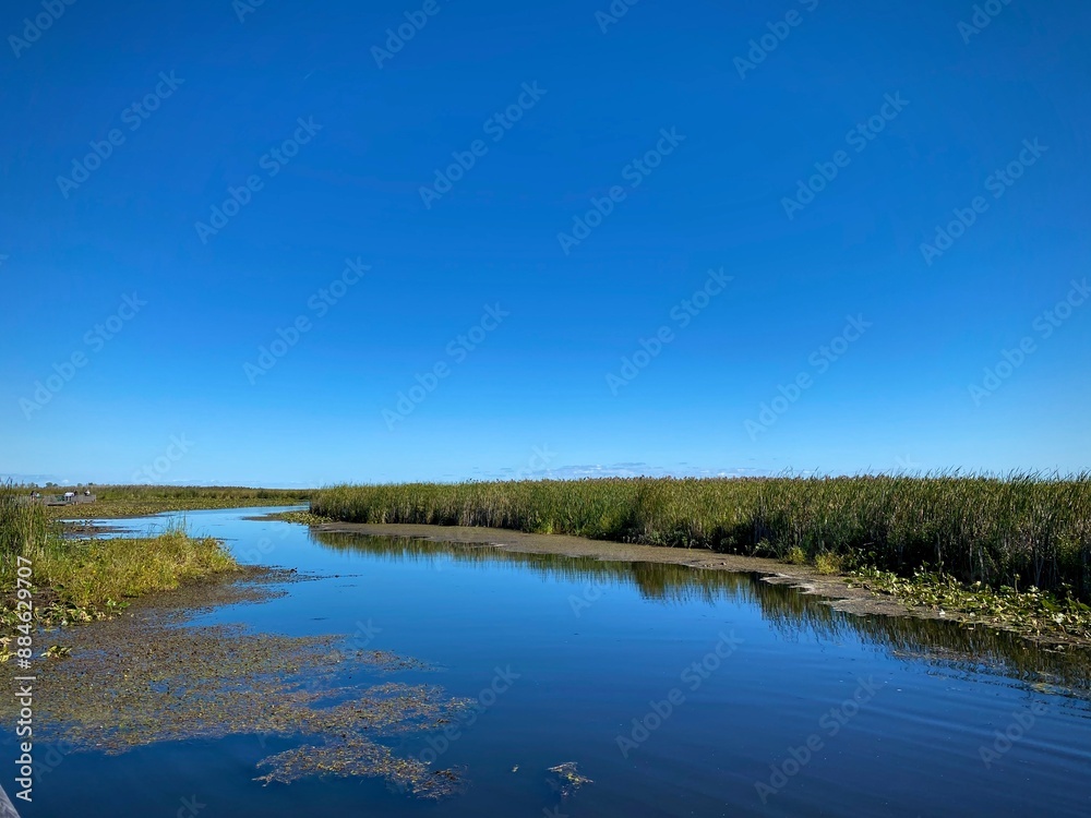 Fototapeta premium Ontario Marshlands 