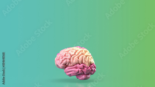 Tableau sur toile The pink brain for eduction or creative concept 3d rendering.