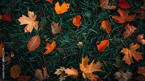 Fallen autumn leaves on green grass