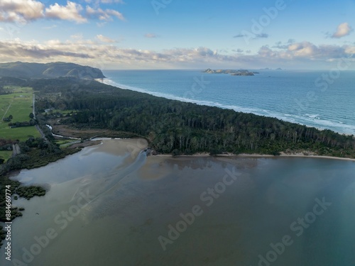 Pine forest and coastline at Opoutere, Whangamata, Coromandel Peninsula, New Zealand. photo