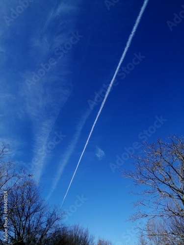 印象的な空　飛行機雲と青空と冬の樹木