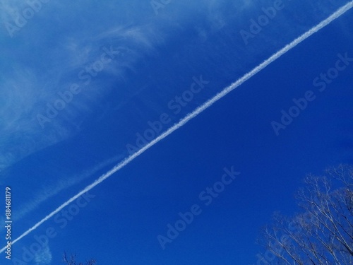 印象的な空　飛行機雲と青空と冬の樹木