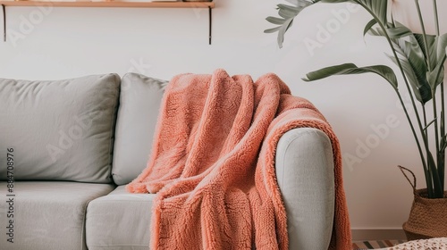 A couch with a blanket draped over it and a potted plant in the background