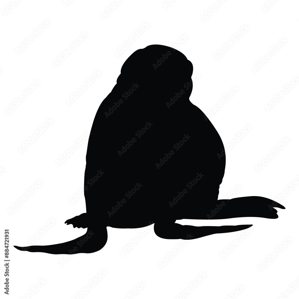Fototapeta premium seal vector silhouette design. black on a white background.