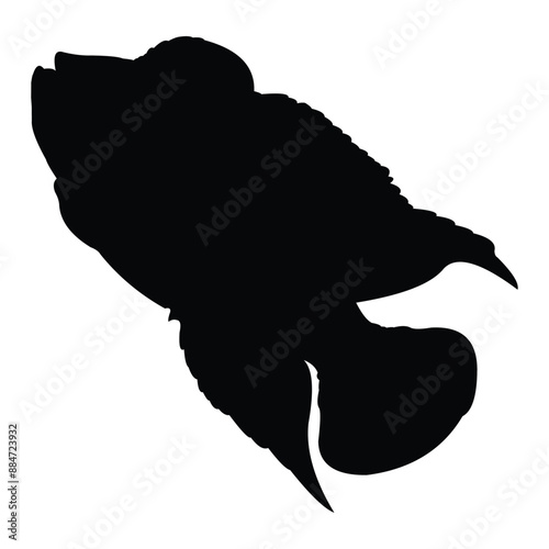 flowerhorn fish vector silhouette design. black on a white background.