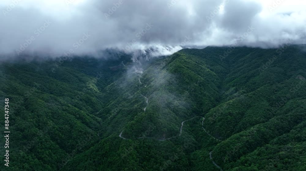Fog and cloud mountain valley landscape, Sunrise over the mountains, of Aerial top view forest tree, Rainforest ecosystem and healthy environment concept Fog and cloud mountain valley landscape, Sunrise over the mountains, of Aerial top view forest tree, Rainforest ecosystem and healthy environment concept