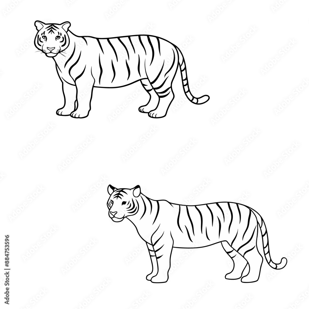Obraz premium Tiger line art vector