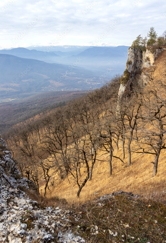 morning in a nature park, mountainous terrain panorama of rocky mountains and vegetation morning in a nature park, mountainous terrain panorama of rocky mountains and vegetation