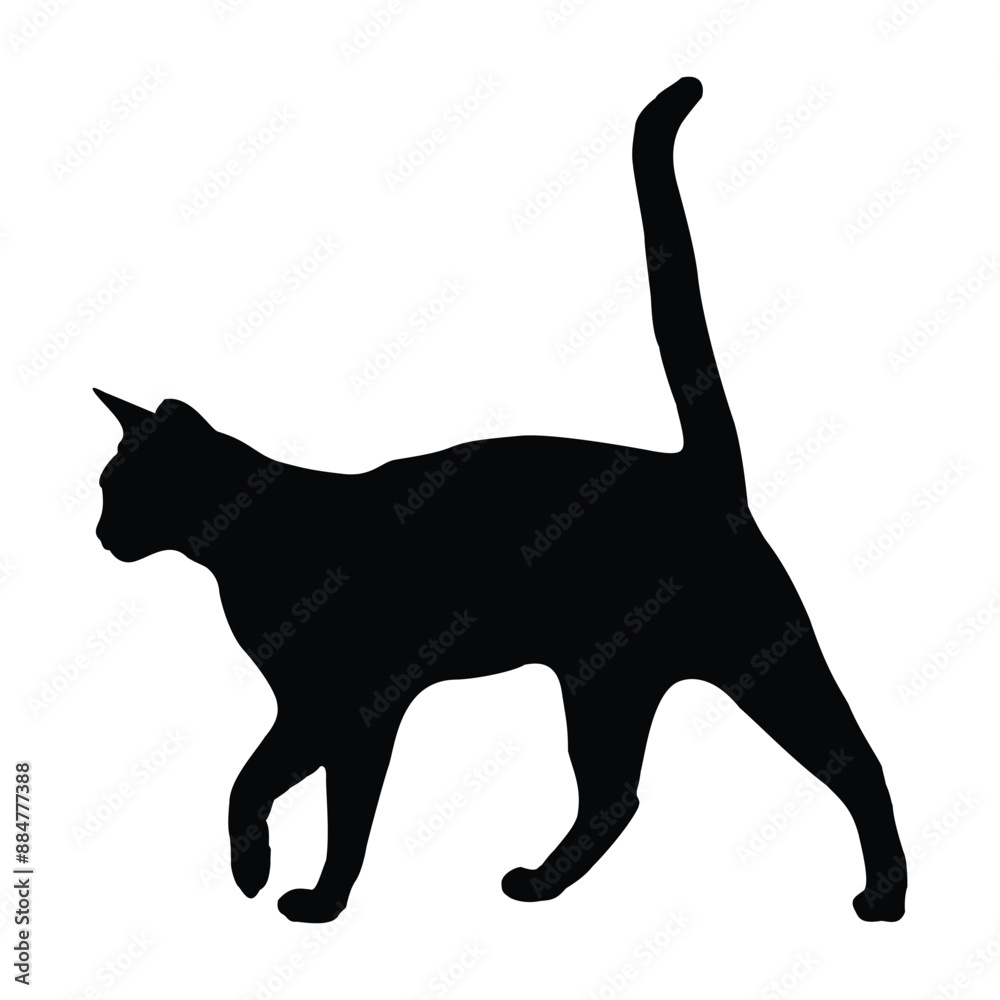 Hand drawing Cat illustration Design