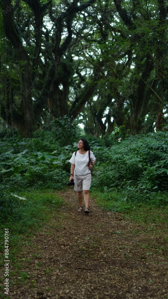 A woman walking alone in a small forest is having a backpack and a camera A woman walking alone in a small forest is having a backpack and a camera