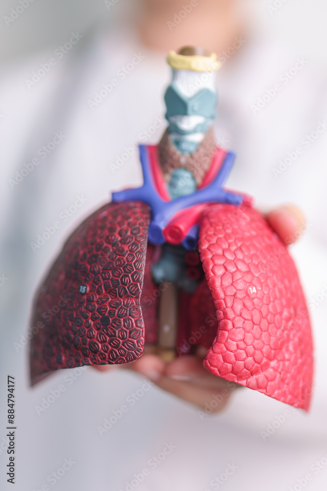 Doctor with Smoker and normal Lung anatomy for Disease. Lung Cancer