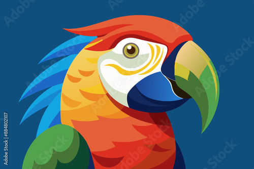 parrot vector illustration 