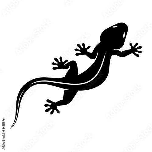 Vector silhouette of a lizard on white background