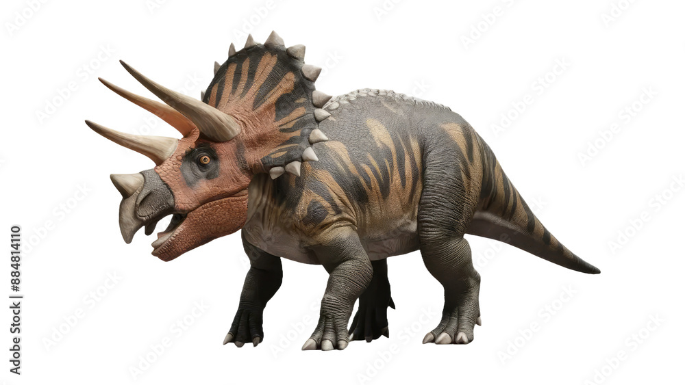 Triceratops dinosaur on white background. Triceratops dinosaur on white background.
