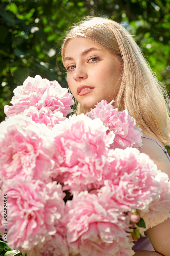 blossom of peonies blossom of peonies