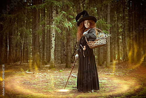 Quadro em tela healer collects herbs