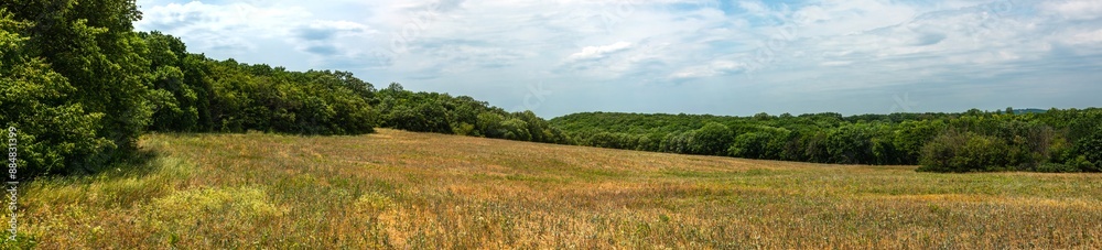 Fototapeta premium a large clearing overgrown with meadow grass and small wildflowers surrounded by forest in the foothills of the Western Caucasus on a sunny summer day