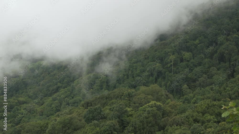 view of the mountain range hill with greenery rain forest and mist cloud fog windy flow over the mountain range in winter daytime in northern of Thailand view of the mountain range hill with greenery rain forest and mist cloud fog windy flow over the mountain range in winter daytime in northern of Thailand