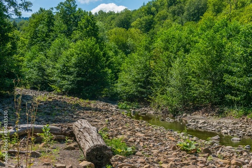 picturesque landscape with a log in the bed of the mountain river Agoy on the slope of a forested mountain in the Western Caucasus, almost dry in the middle of a hot summer on a sunny day photo