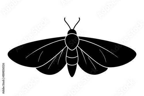 Intricate vector illustration of a moth in black silhouette on white background perfect for nature-inspired designs