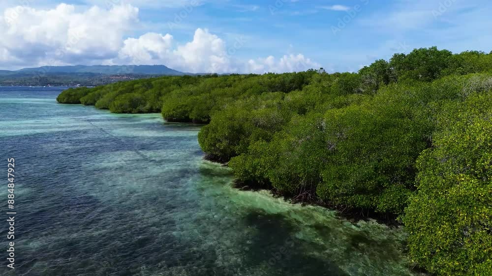 Aerial view of Mangrove forest in Jungutbatu, Nusa Lembongan, Bali, Indonesia Aerial view of Mangrove forest in Jungutbatu, Nusa Lembongan, Bali, Indonesia