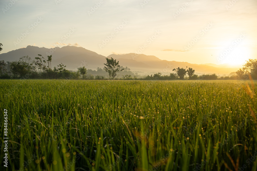 A field of green grass with a beautiful sunset in the background. The sky is filled with clouds and the sun is setting behind the mountains A field of green grass with a beautiful sunset in the background. The sky is filled with clouds and the sun is setting behind the mountains