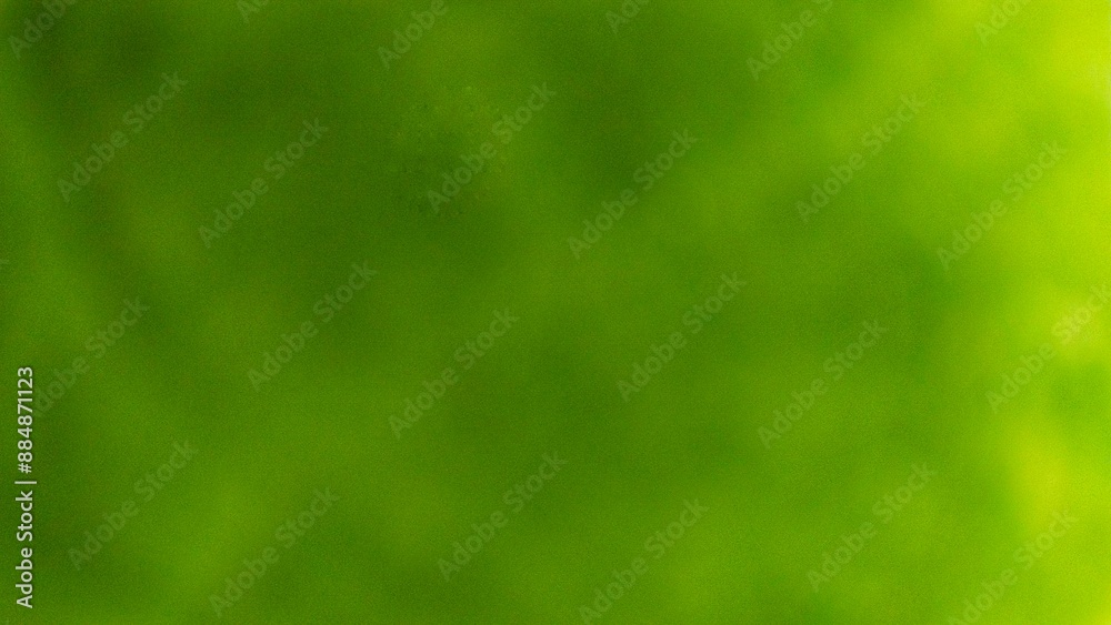 The out-of-focus image is green in the background The out-of-focus image is green in the background