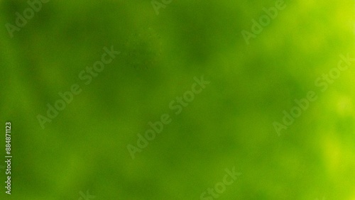 The out-of-focus image is green in the background
